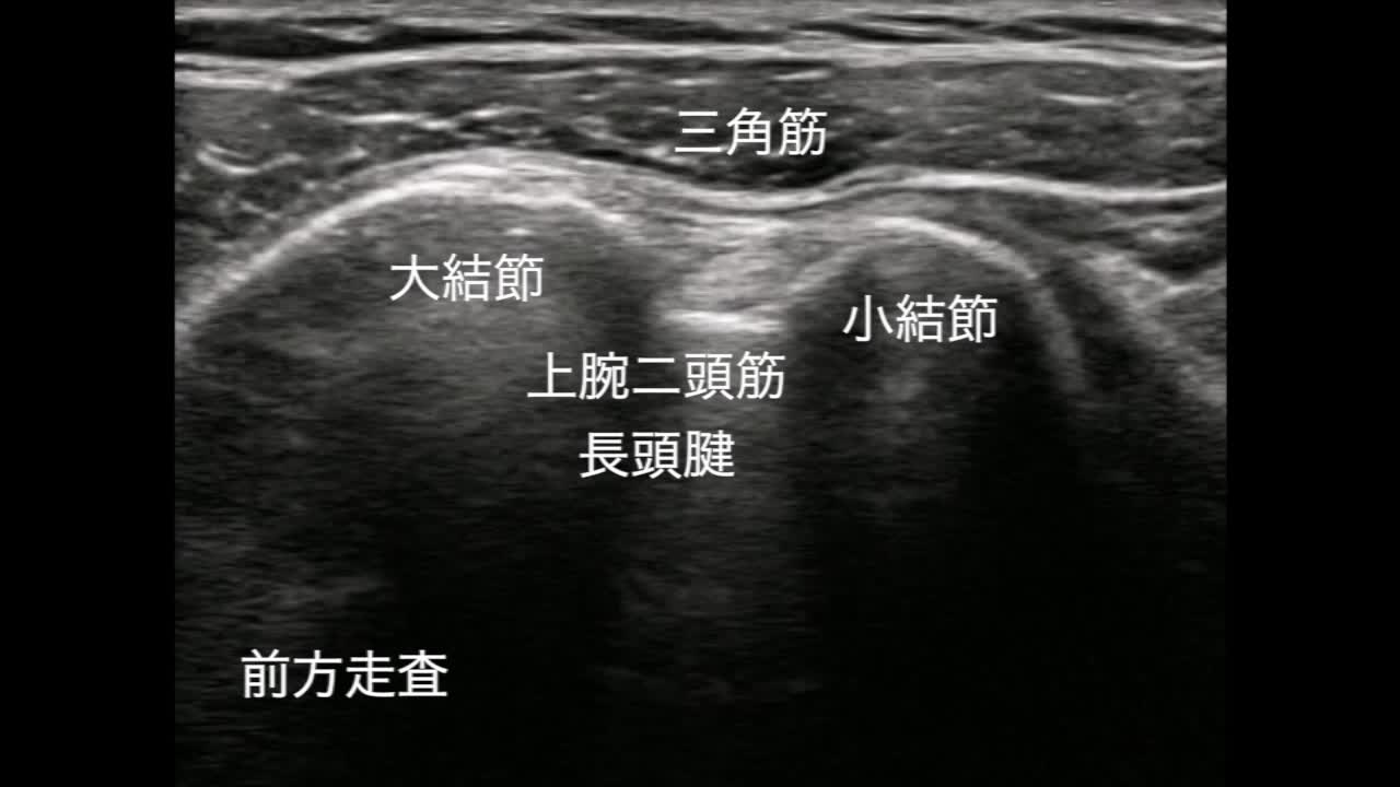 55巻5号　小林明裕先生　動画1