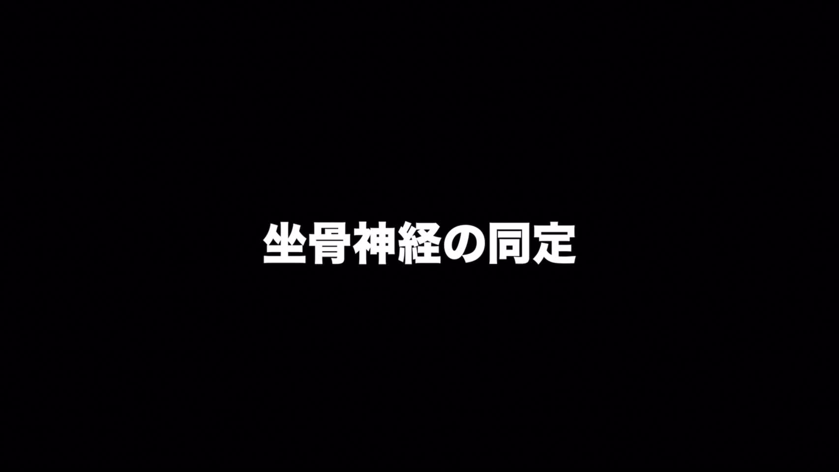 動画3　坐骨神経の同定